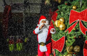 Centro San Ignacio Navidad