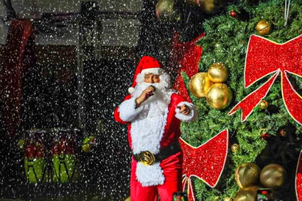 Centro San Ignacio Navidad