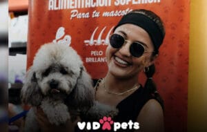 Vida Pets