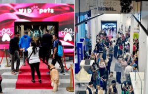 Vida Pets inauguración